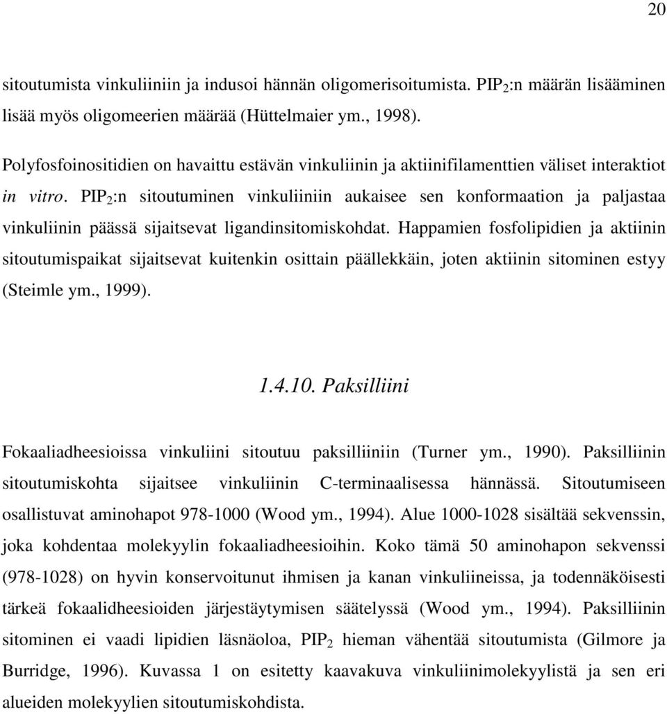 PIP 2 :n sitoutuminen vinkuliiniin aukaisee sen konformaation ja paljastaa vinkuliinin päässä sijaitsevat ligandinsitomiskohdat.