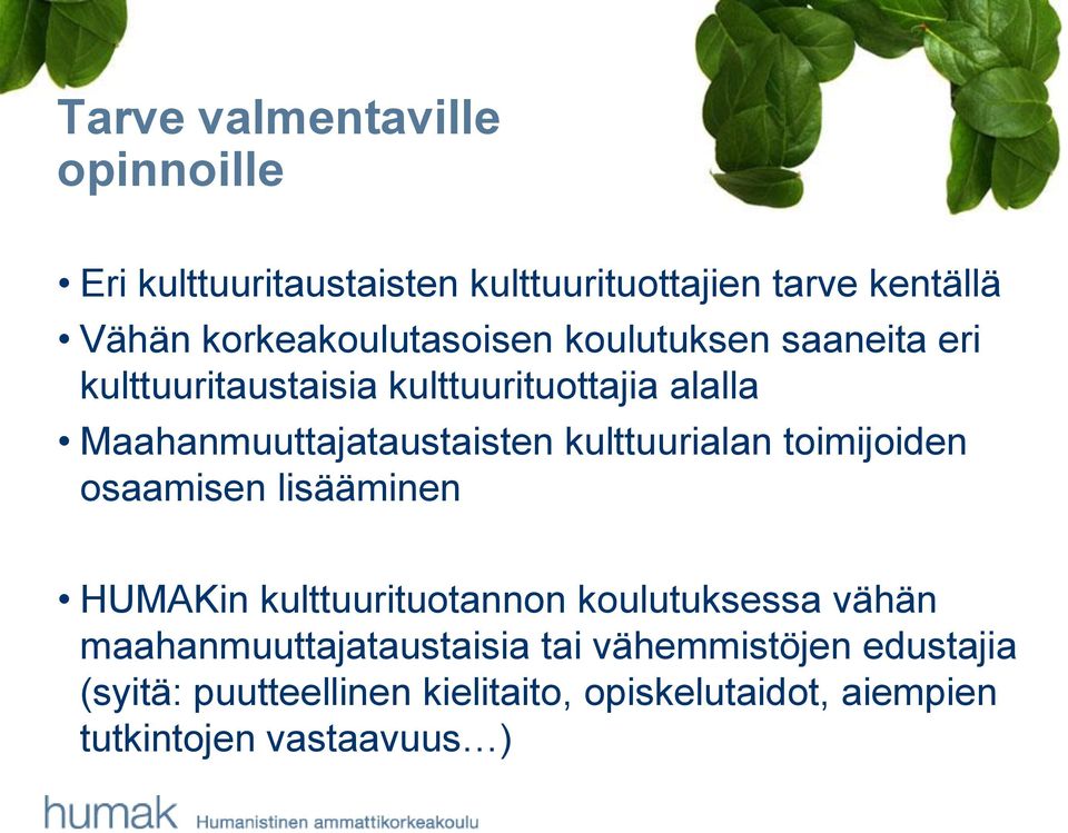 Maahanmuuttajataustaisten kulttuurialan toimijoiden osaamisen lisääminen HUMAKin kulttuurituotannon