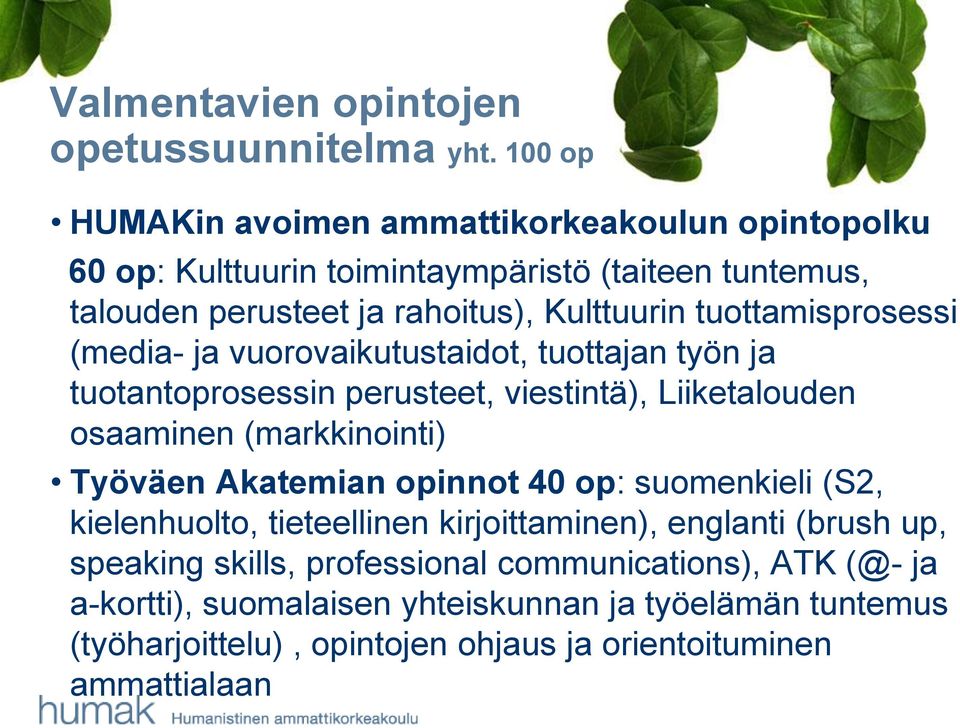 tuottamisprosessi (media- ja vuorovaikutustaidot, tuottajan työn ja tuotantoprosessin perusteet, viestintä), Liiketalouden osaaminen (markkinointi) Työväen