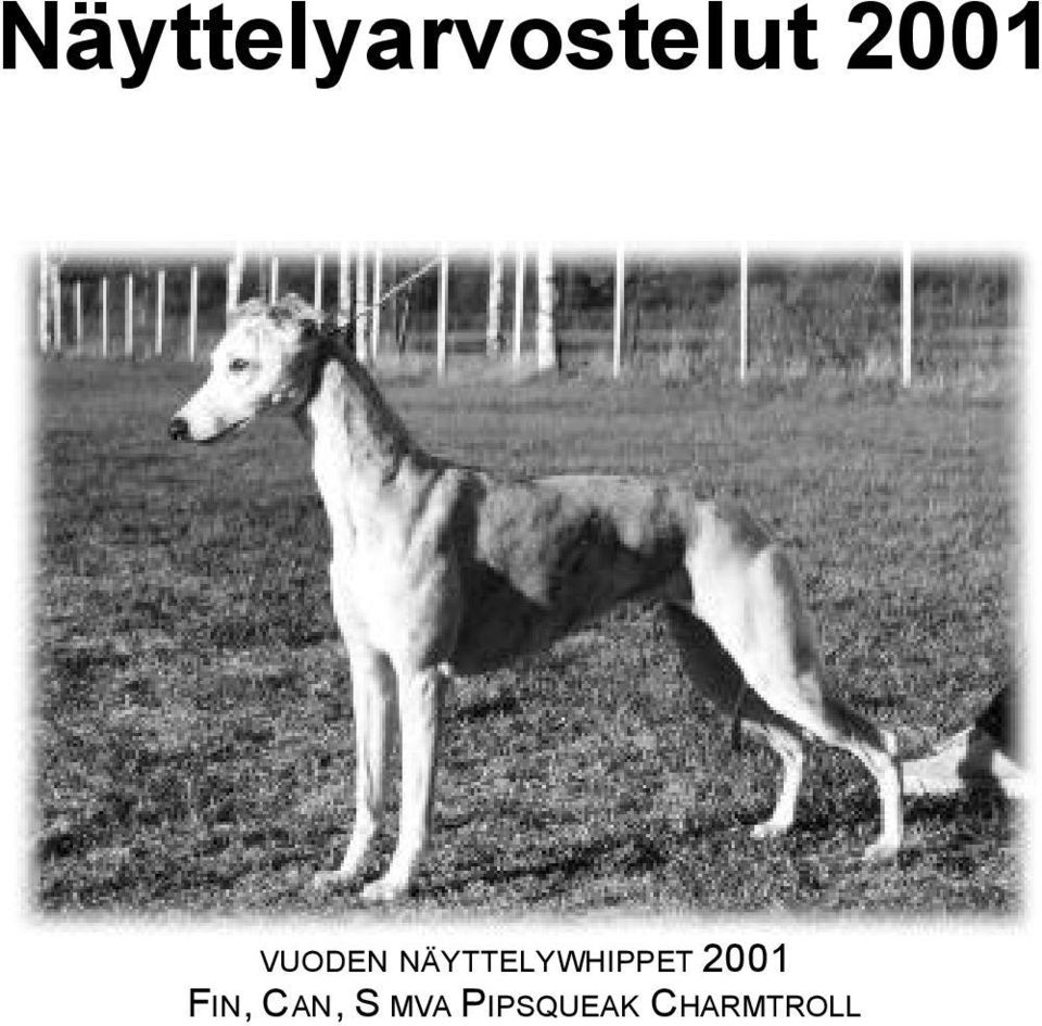 NÄYTTELYWHIPPET 2001