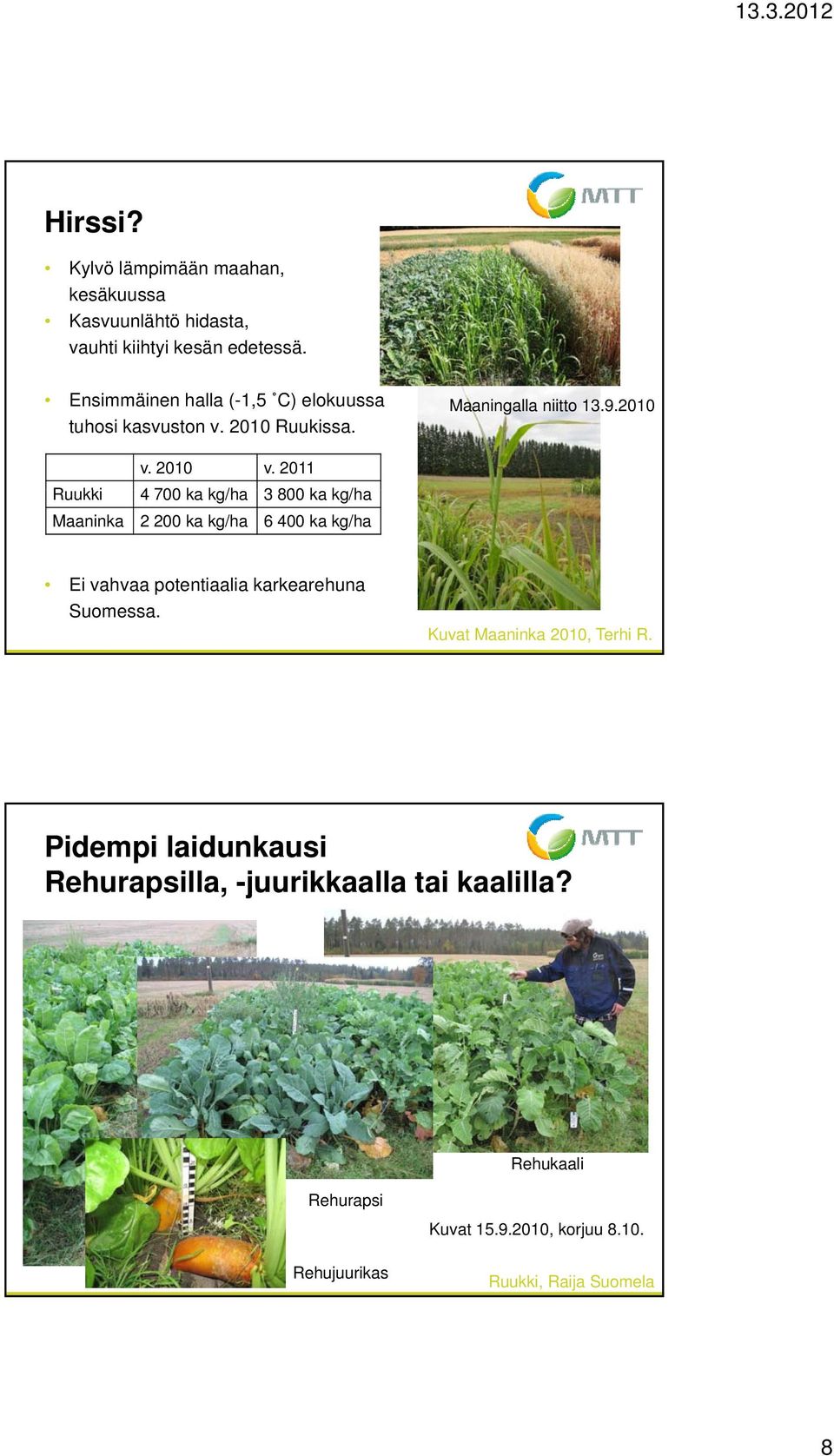 2011 Ruukki 4 700 ka kg/ha 3 800 ka kg/ha Maaninka 2 200 ka kg/ha 6 400 ka kg/ha Ei vahvaa potentiaalia karkearehuna Suomessa.