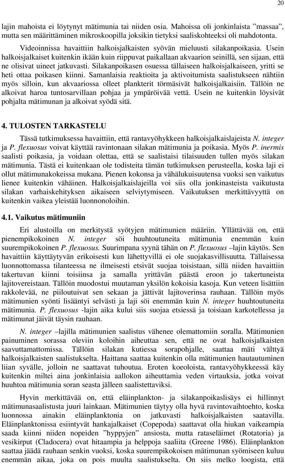 Silknpoiksen osuess tälliseen hlkoisjlkiseen, yritti se heti ott poiksen kiinni.