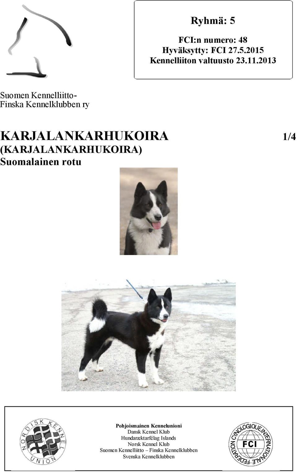 (KARJALANKARHUKOIRA) Suomalainen rotu Pohjoismainen Kennelunioni Dansk Kennel Klub