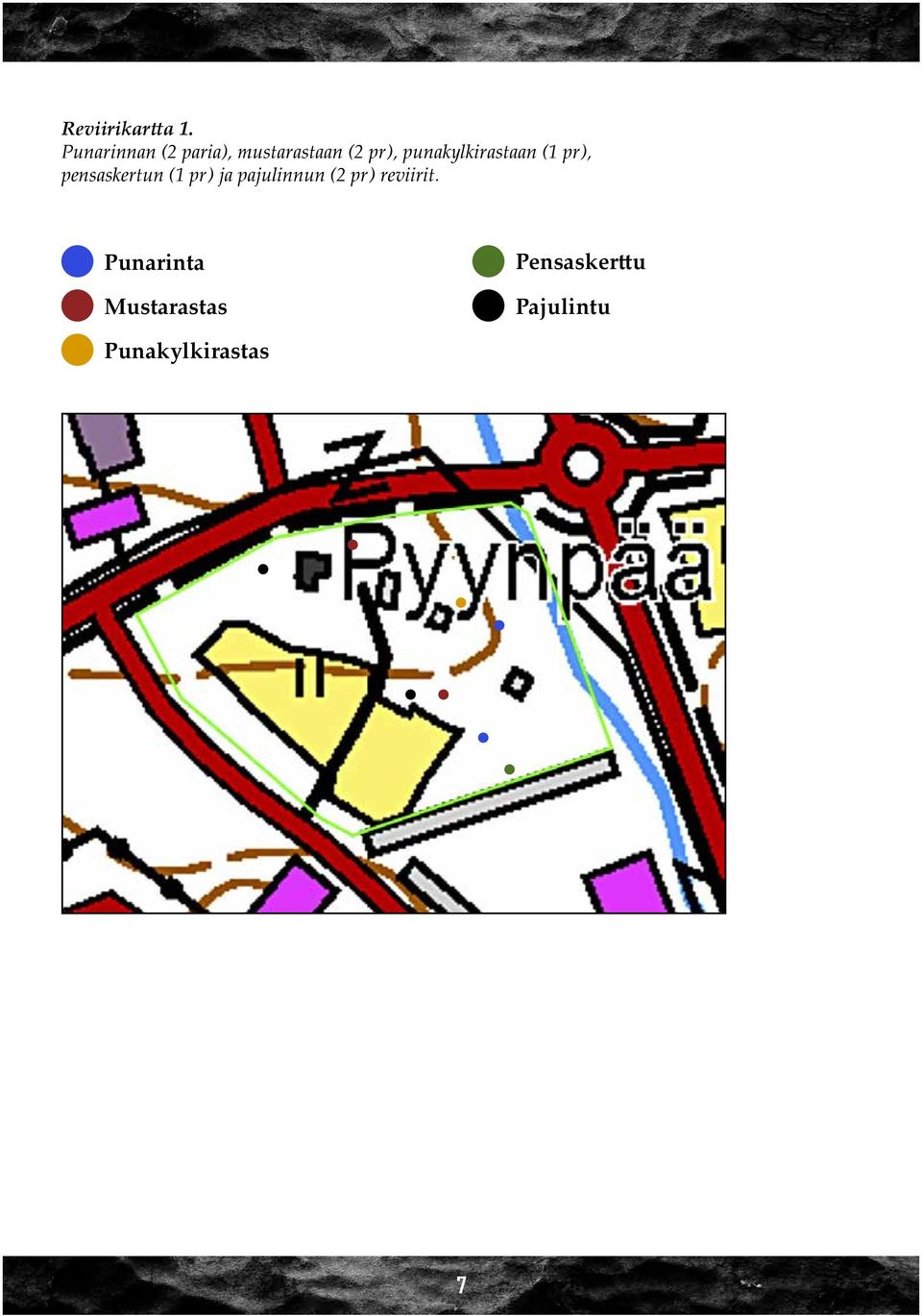 punakylkirastaan (1 pr), pensaskertun (1 pr) ja