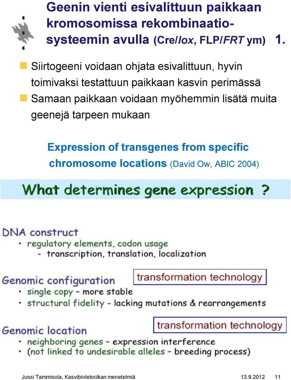 paikkaan voidaan myöhemmin lisätä muita geenejä tarpeen mukaan Expression of transgenes from specific