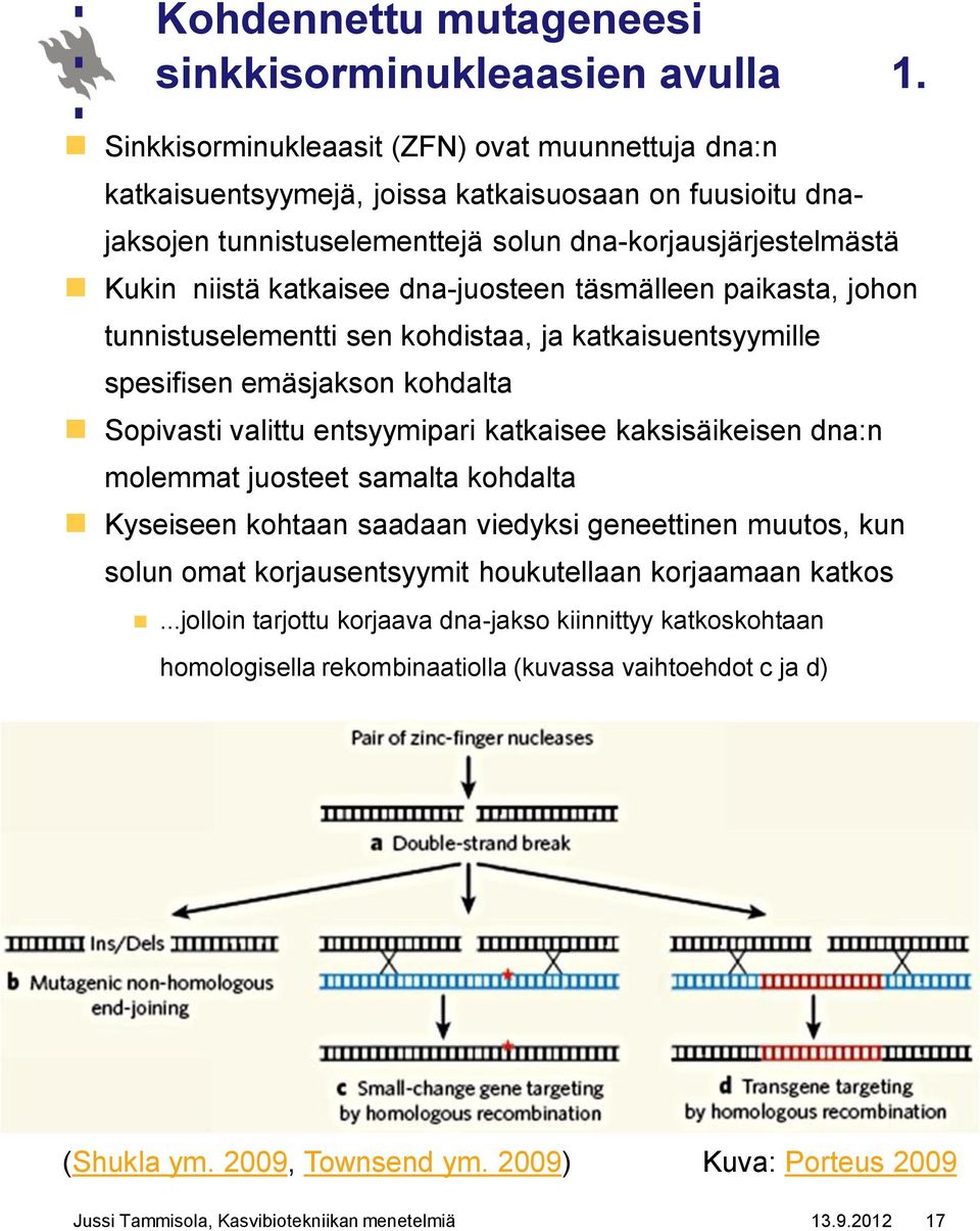 dna-juosteen täsmälleen paikasta, johon tunnistuselementti sen kohdistaa, ja katkaisuentsyymille spesifisen emäsjakson kohdalta Sopivasti valittu entsyymipari katkaisee kaksisäikeisen dna:n molemmat