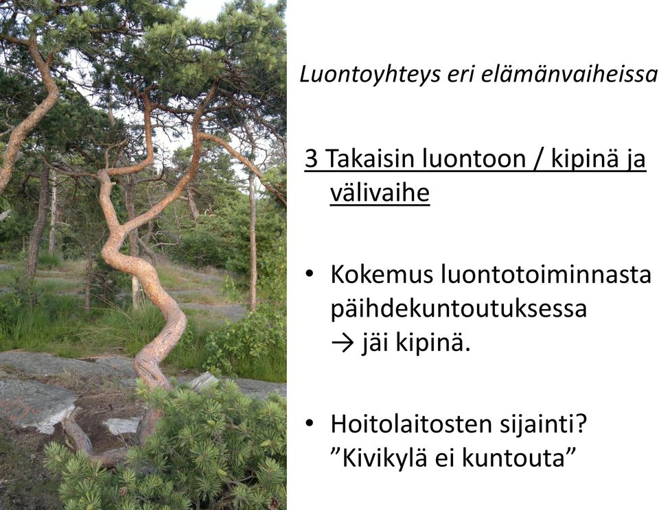 luontotoiminnasta päihdekuntoutuksessa jäi