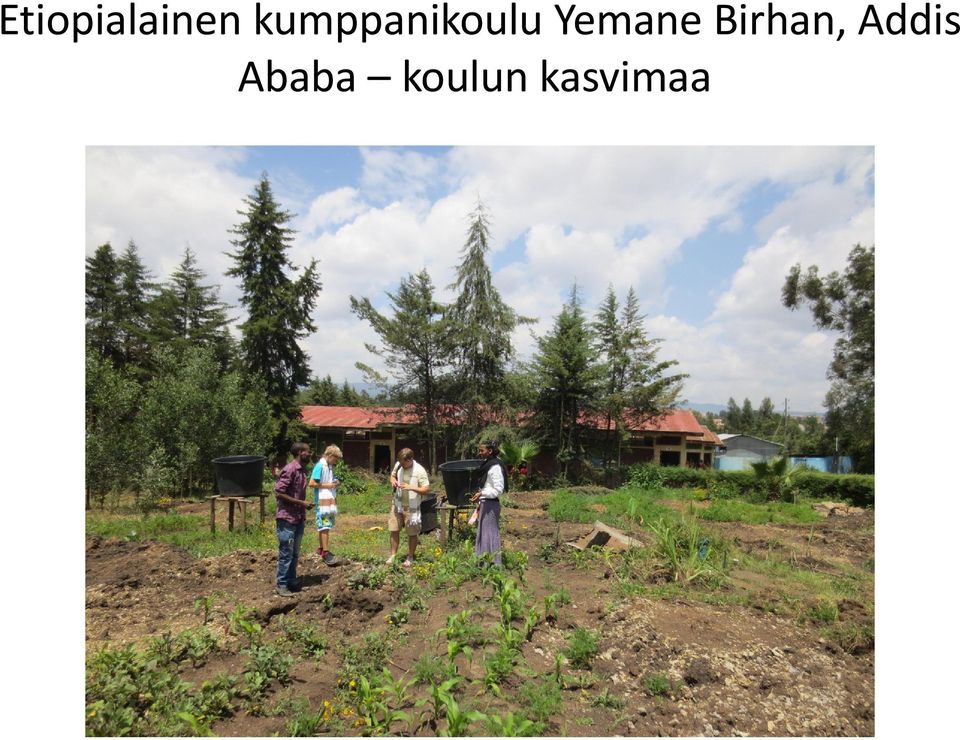 Yemane Birhan,