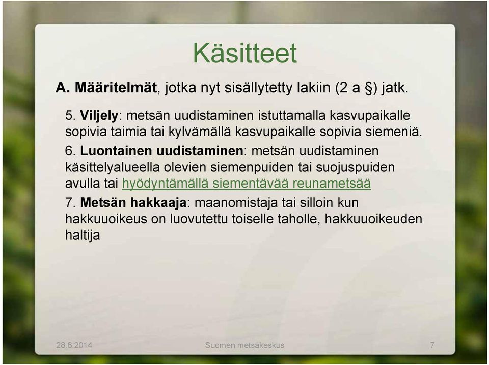 Luontainen uudistaminen: metsän uudistaminen käsittelyalueella olevien siemenpuiden tai suojuspuiden avulla tai