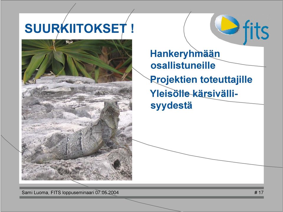 Projektien toteuttajie Yeisöe