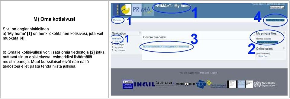 b) Omalle kotisivullesi voit lisätä omia tiedostoja [2] jotka auttavat sinua