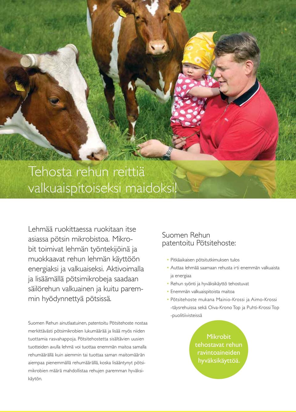 Aktivoimalla ja lisäämällä pötsimikrobeja saadaan säilörehun valkuainen ja kuitu paremmin hyödynnettyä pötsissä.