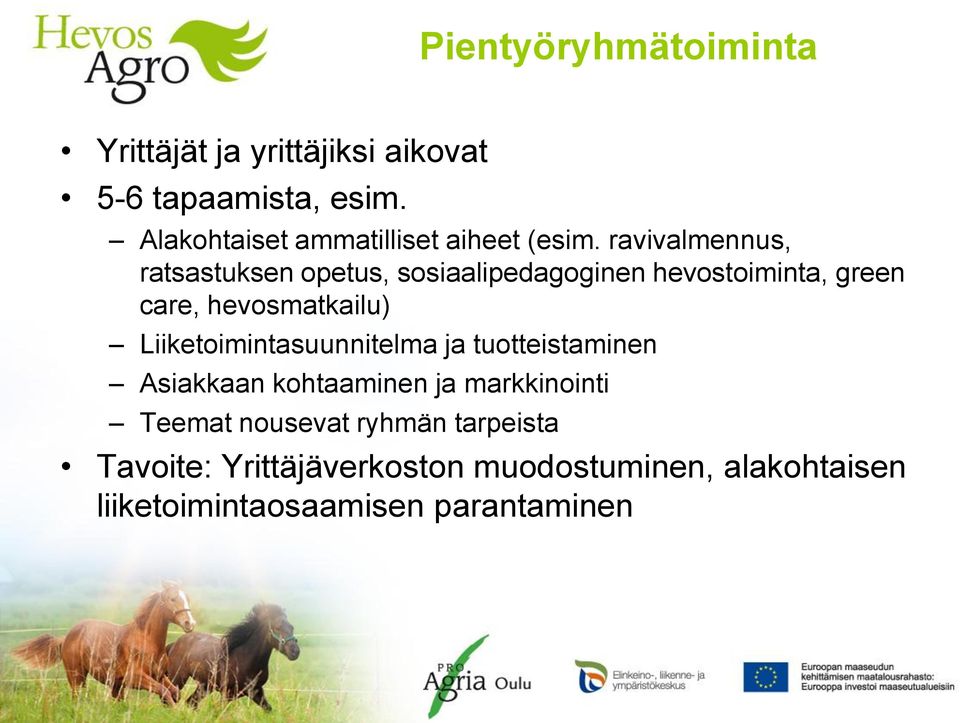 ravivalmennus, ratsastuksen opetus, sosiaalipedagoginen hevostoiminta, green care, hevosmatkailu)