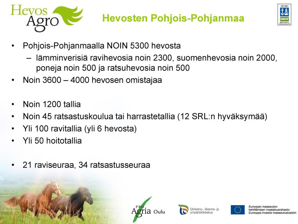 hevosen omistajaa Noin 1200 tallia Noin 45 ratsastuskoulua tai harrastetallia (12 SRL:n