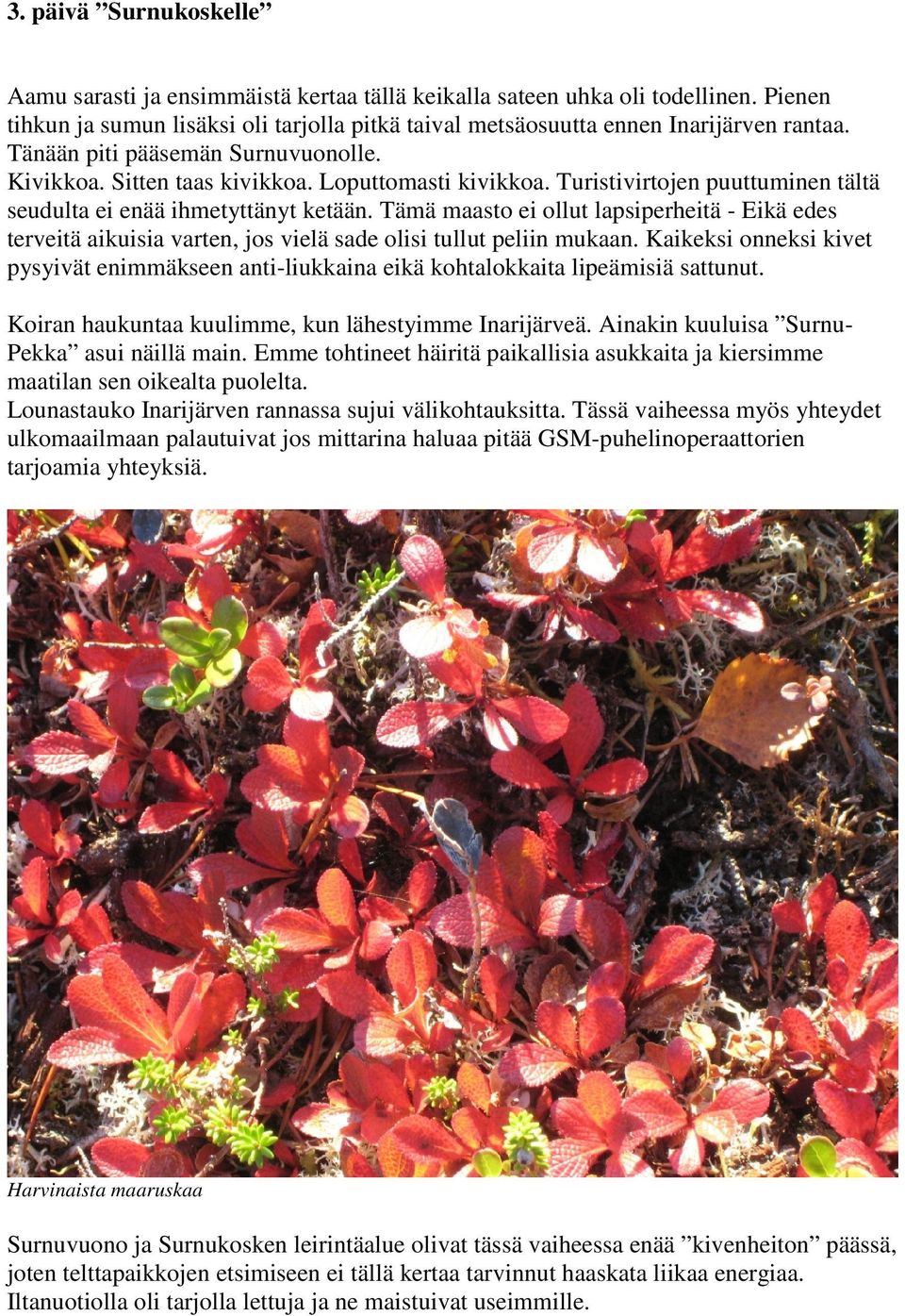 Tämä maasto ei ollut lapsiperheitä - Eikä edes terveitä aikuisia varten, jos vielä sade olisi tullut peliin mukaan.