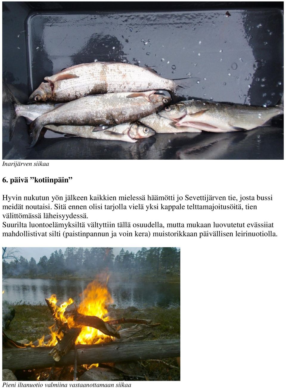 noutaisi. Sitä ennen olisi tarjolla vielä yksi kappale telttamajoitusöitä, tien välittömässä läheisyydessä.