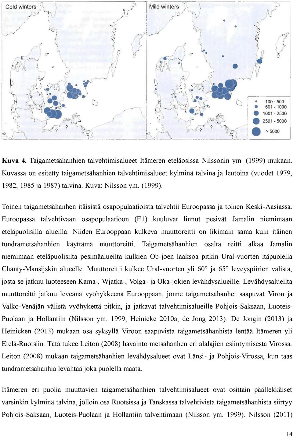 Toinen taigametsähanhen itäisistä osapopulaatioista talvehtii Euroopassa ja toinen Keski-Aasiassa.