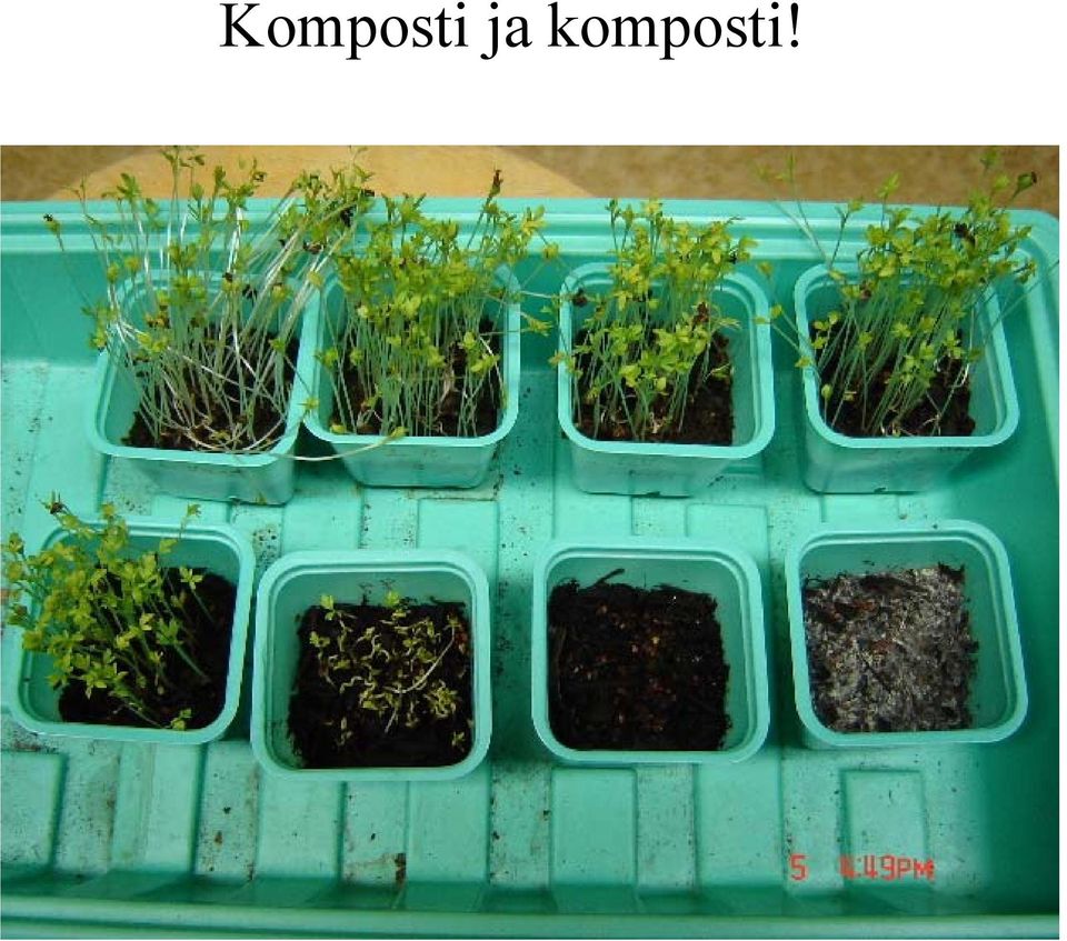 komposti!