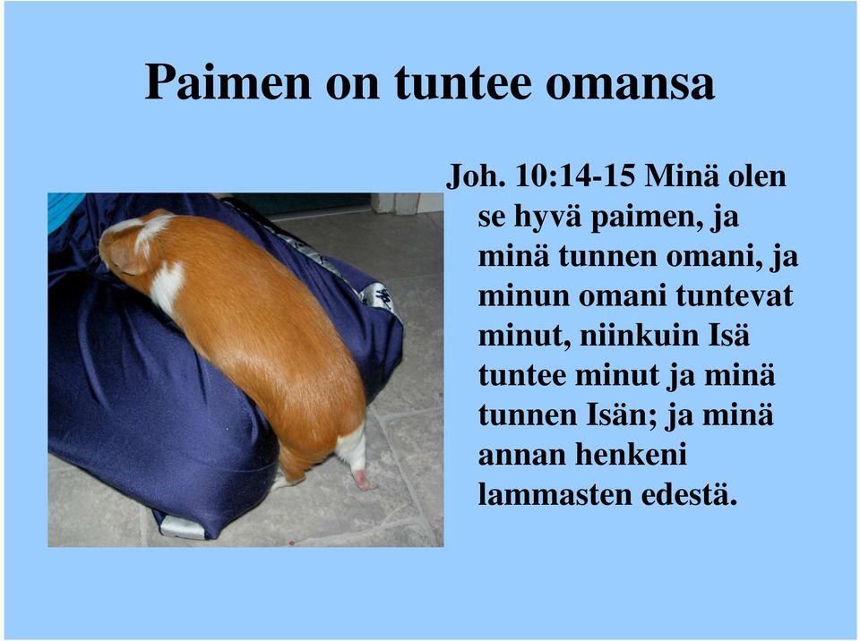 omani, ja minun omani tuntevat minut, niinkuin Isä