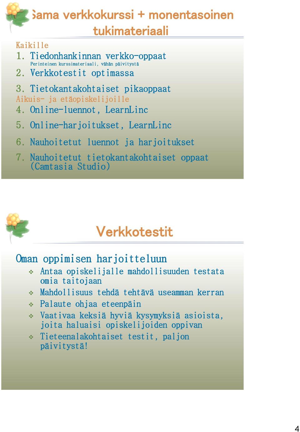 Nauhoitetut tietokantakohtaiset oppaat (Camtasia Studio) Verkkotestit Oman oppimisen harjoitteluun Antaa opiskelijalle mahdollisuuden testata omia taitojaan Mahdollisuus