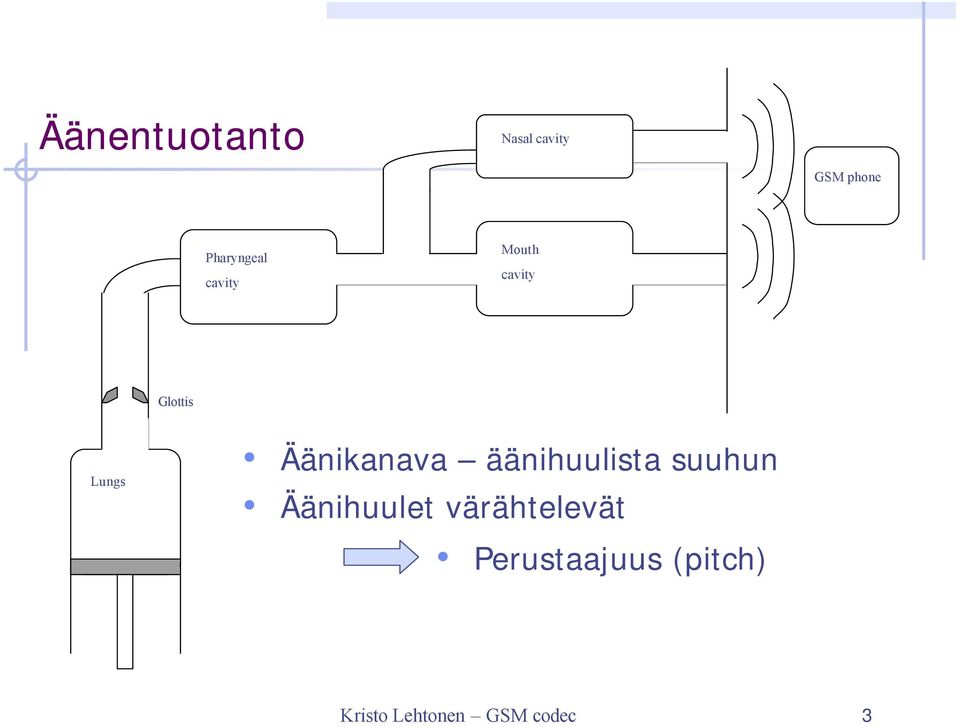 Äänikanava äänihuulista suuhun Äänihuulet