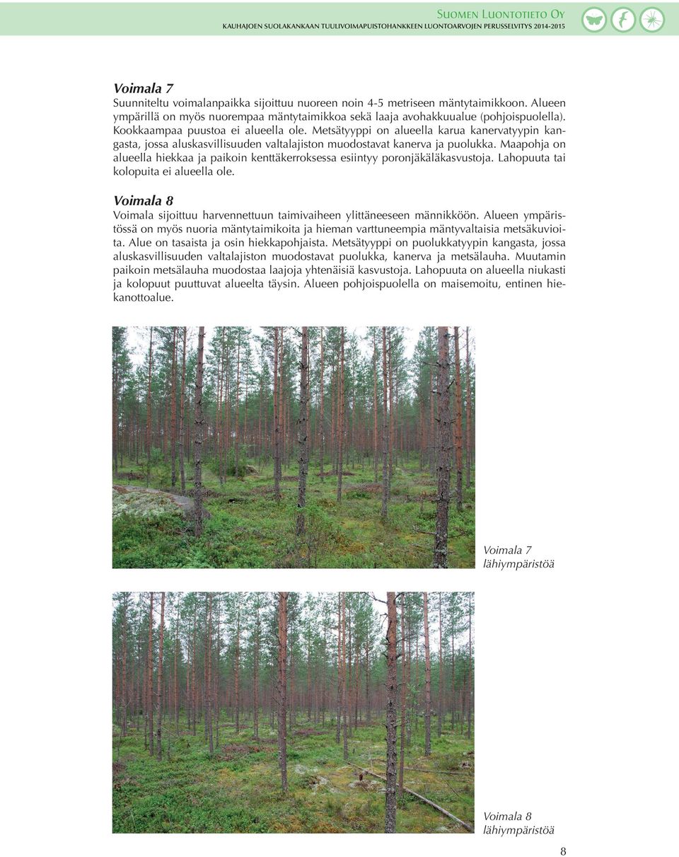 Maapohja on alueella hiekkaa ja paikoin kenttäkerroksessa esiintyy poronjäkäläkasvustoja. Lahopuuta tai kolopuita ei alueella ole.