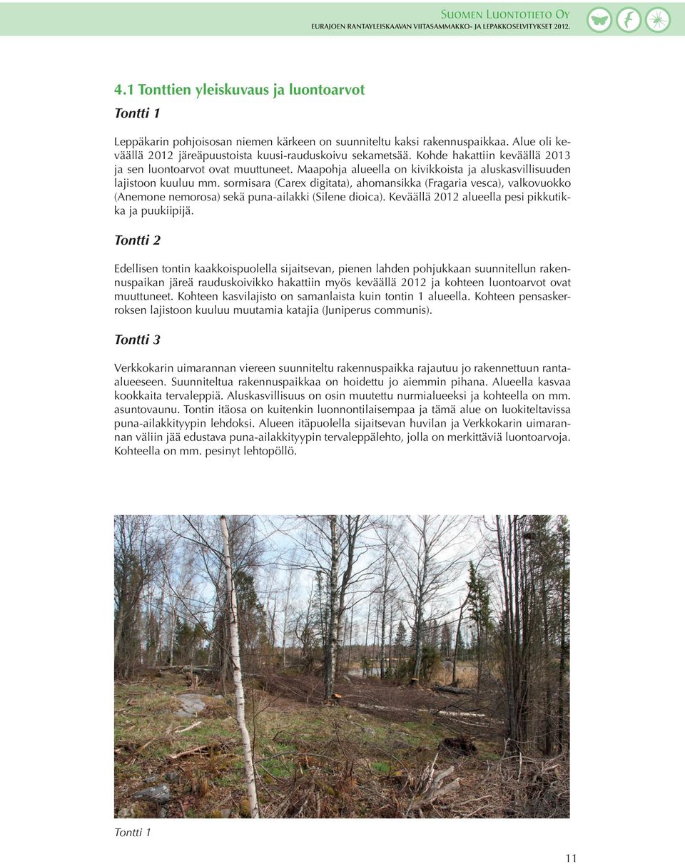 sormisara (Carex digitata), ahomansikka (Fragaria vesca), valkovuokko (Anemone nemorosa) sekä puna-ailakki (Silene dioica). Keväällä 2012 alueella pesi pikkutikka ja puukiipijä.