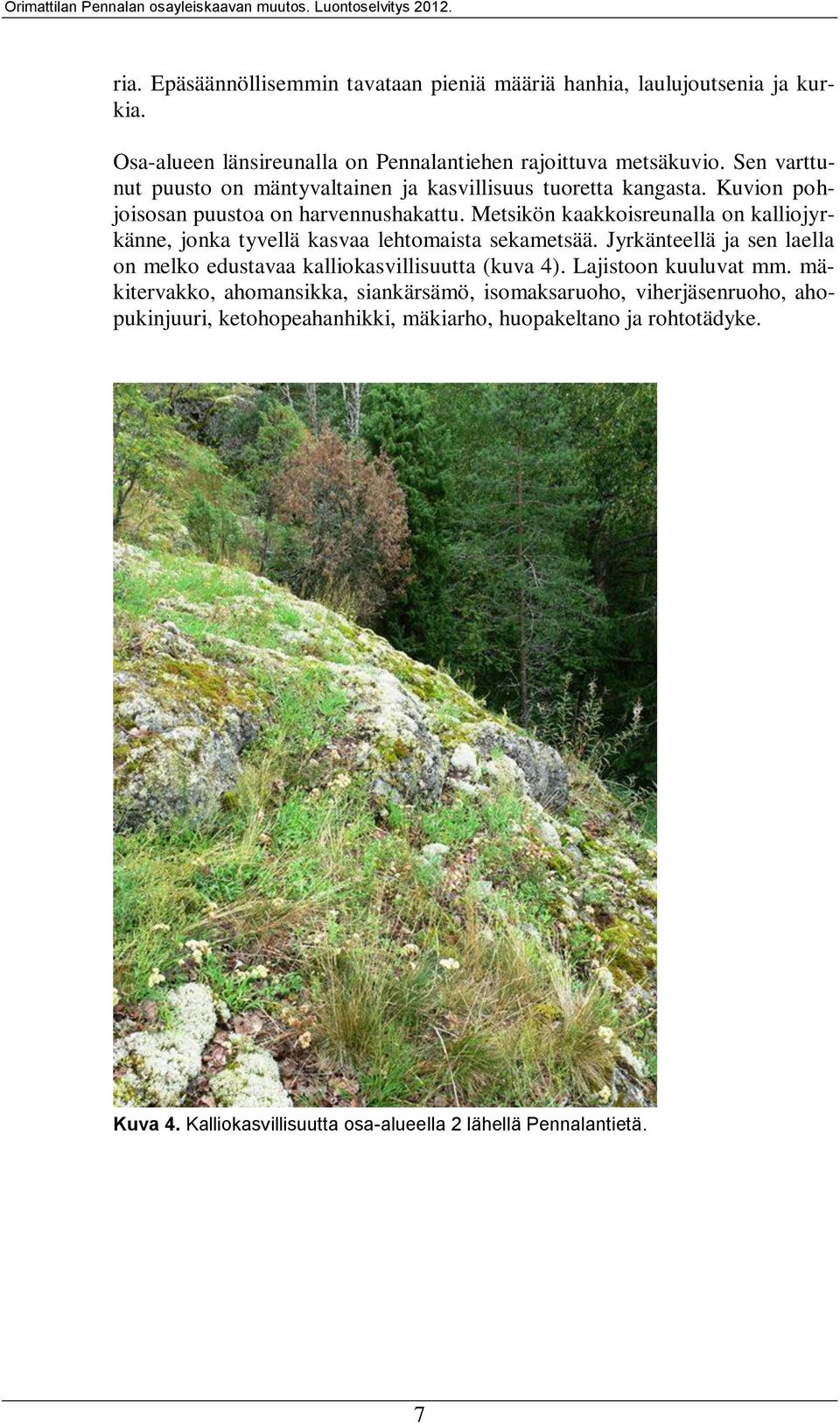Metsikön kaakkoisreunalla on kalliojyrkänne, jonka tyvellä kasvaa lehtomaista sekametsää. Jyrkänteellä ja sen laella on melko edustavaa kalliokasvillisuutta (kuva 4).