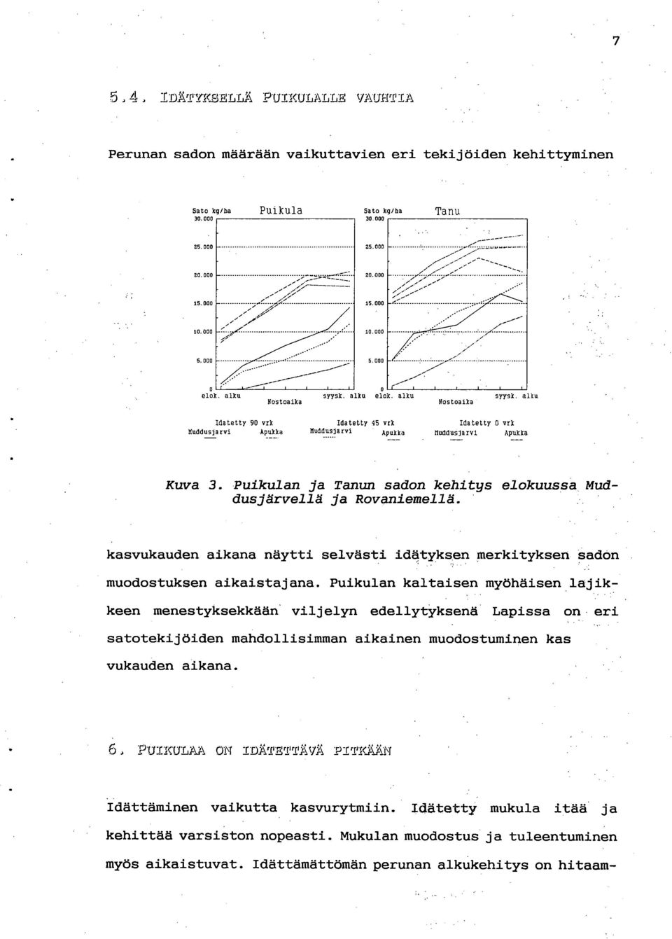 Puikulan ja Tanun sadon kehitys elokuussa Muddusjärvellä ja Rovaniemellä. kasvukauden aikana näytti selvästi idätyksen merkityksen sadon muodostuksen aikaistajana.