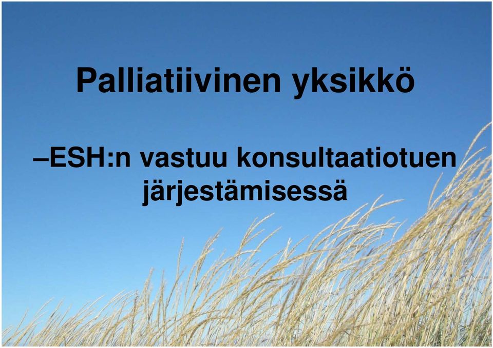 vastuu