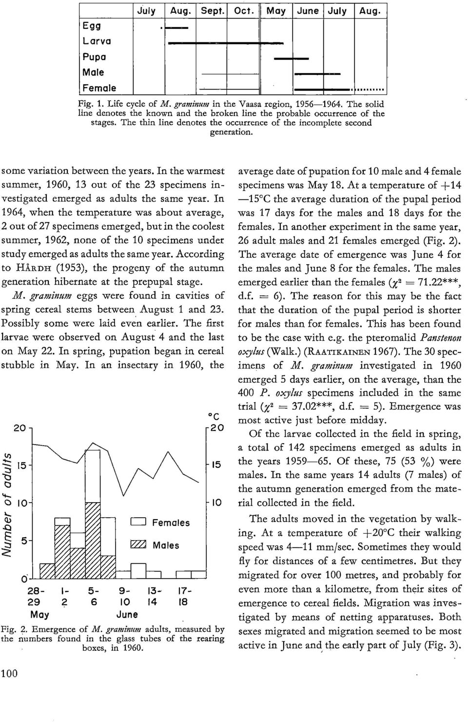 In the warmest summer, 1960, 13 out of the 23 specimens investigated emerged as adults the same year.