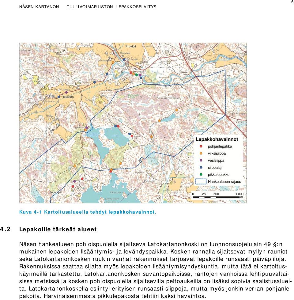 Rakennuksissa saattaa sijaita myös lepakoiden lisääntymisyhdyskuntia, mutta tätä ei kartoituskäynneillä tarkastettu.