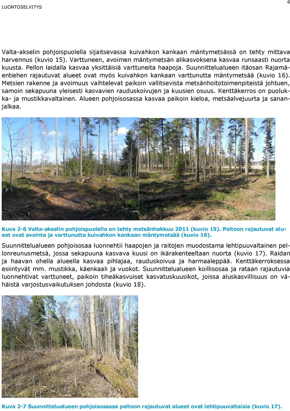 Metsien rakenne ja avoimuus vaihtelevat paikoin vallitsevista metsänhoitotoimenpiteistä johtuen, samoin sekapuuna yleisesti kasvavien rauduskoivujen ja kuusien osuus.