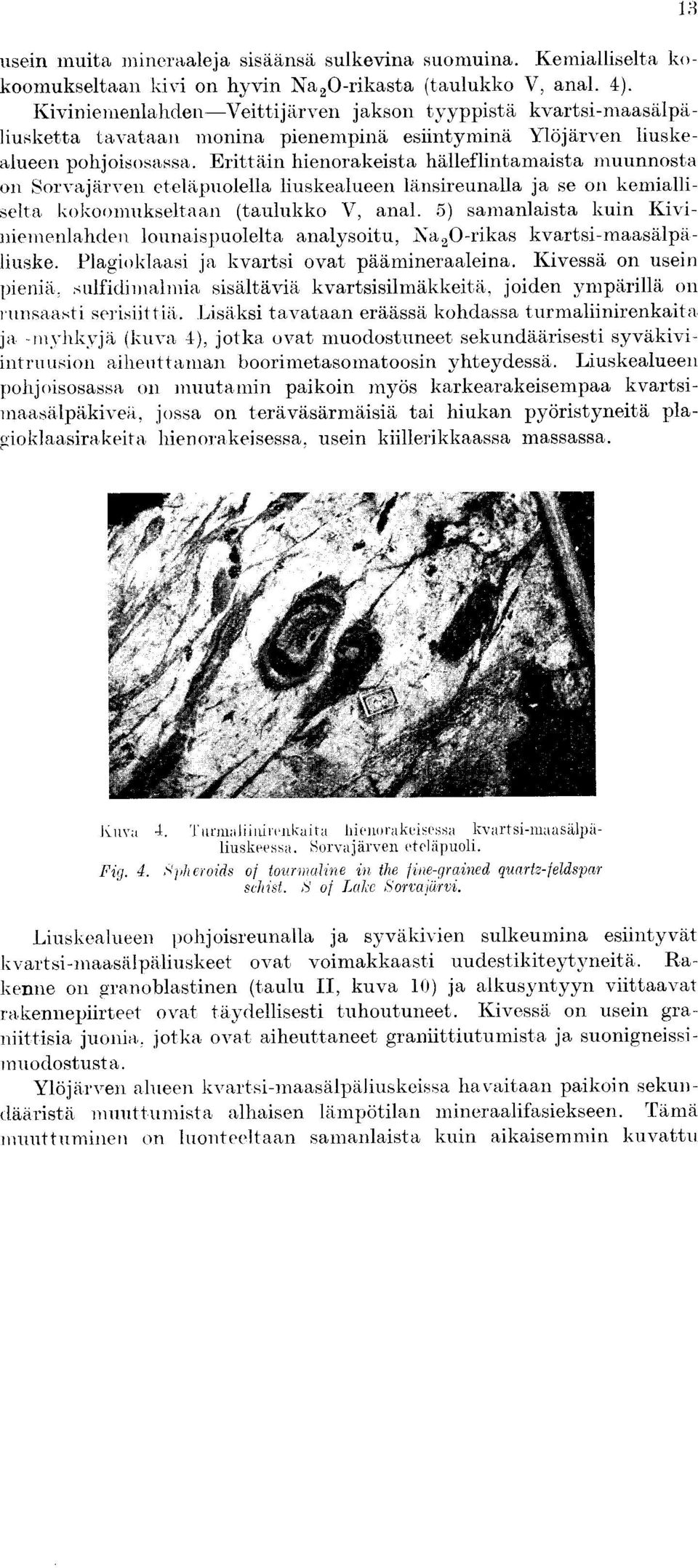 Erittain hienorakeista halleflintamaista inuunnosta on Sorvajarven eteliipuolella liuskealueen lansireunalla ja se on kemialliselta kokoomukseltaan (taulukko V, anal.
