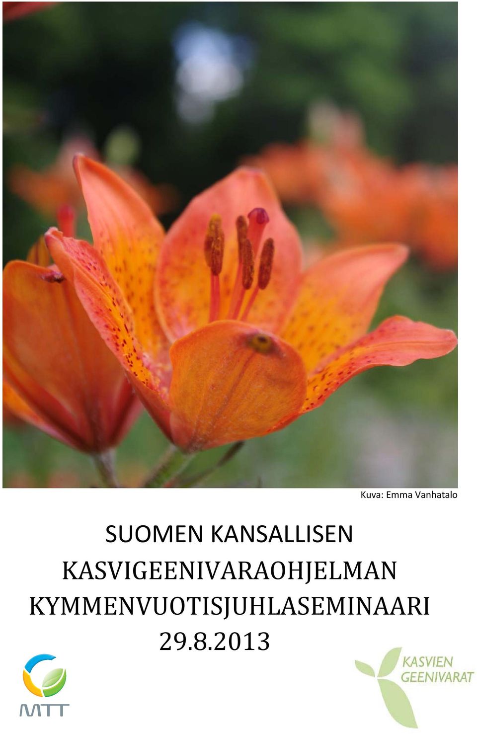 KASVIGEENIVARAOHJELMAN