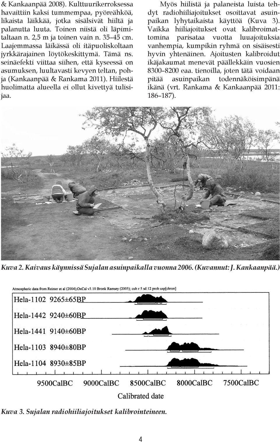 seinäefekti viittaa siihen, että kyseessä on asumuksen, luultavasti kevyen teltan, pohja (Kankaanpää & Rankama 2011). Hiilestä huolimatta alueella ei ollut kivettyä tulisijaa.