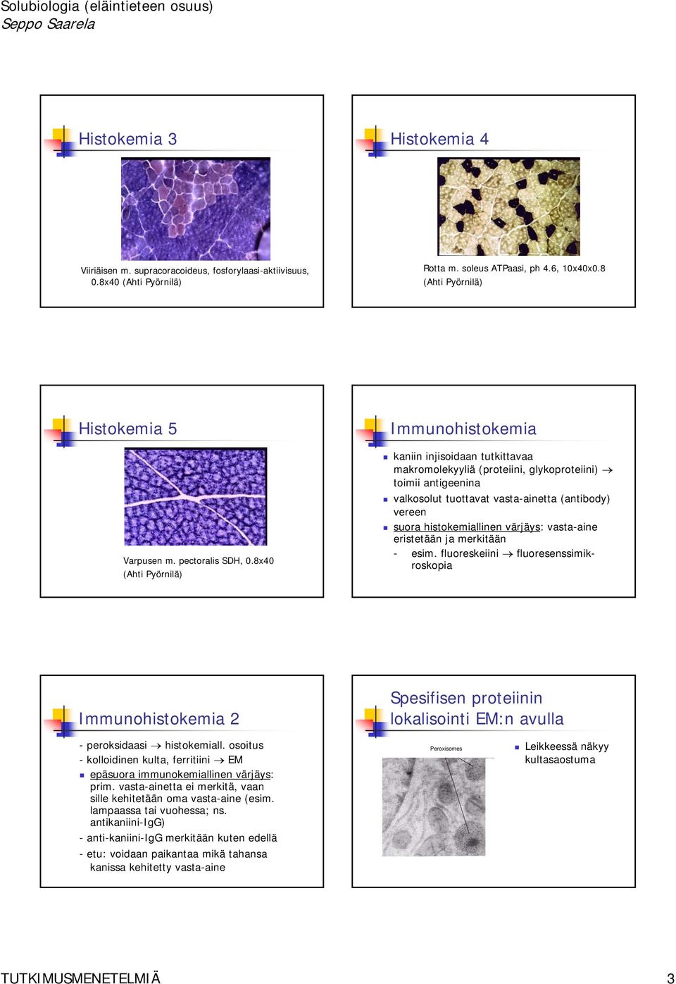 8x40 (Ahti Pyörnilä) Immunohistokemia kaniin injisoidaan tutkittavaa makromolekyyliä (proteiini, glykoproteiini) toimii antigeenina valkosolut tuottavat vasta-ainetta (antibody) vereen suora