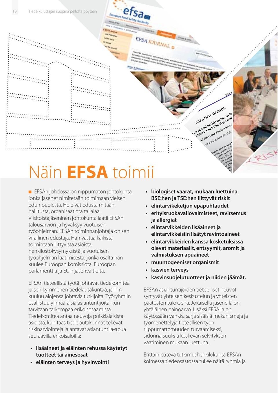 EFSAn toiminnanjohtaja on sen virallinen edustaja.