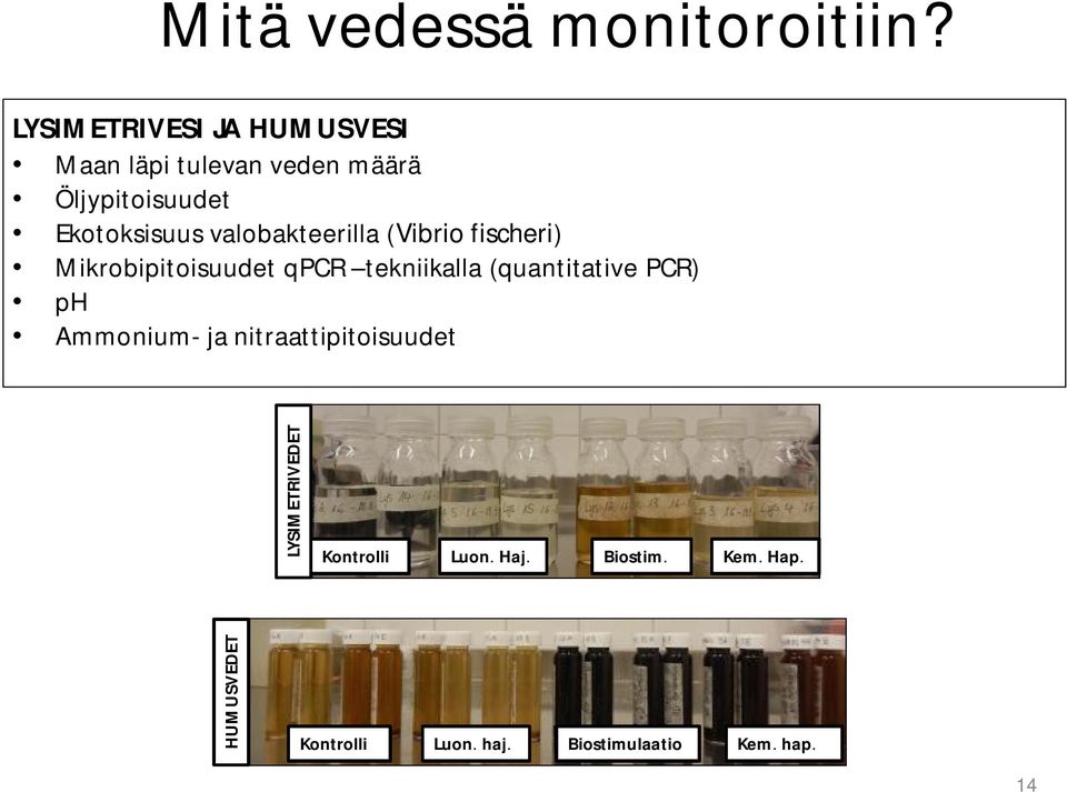 valobakteerilla (Vibrio fischeri) Mikrobipitoisuudet qpcr tekniikalla (quantitative PCR)