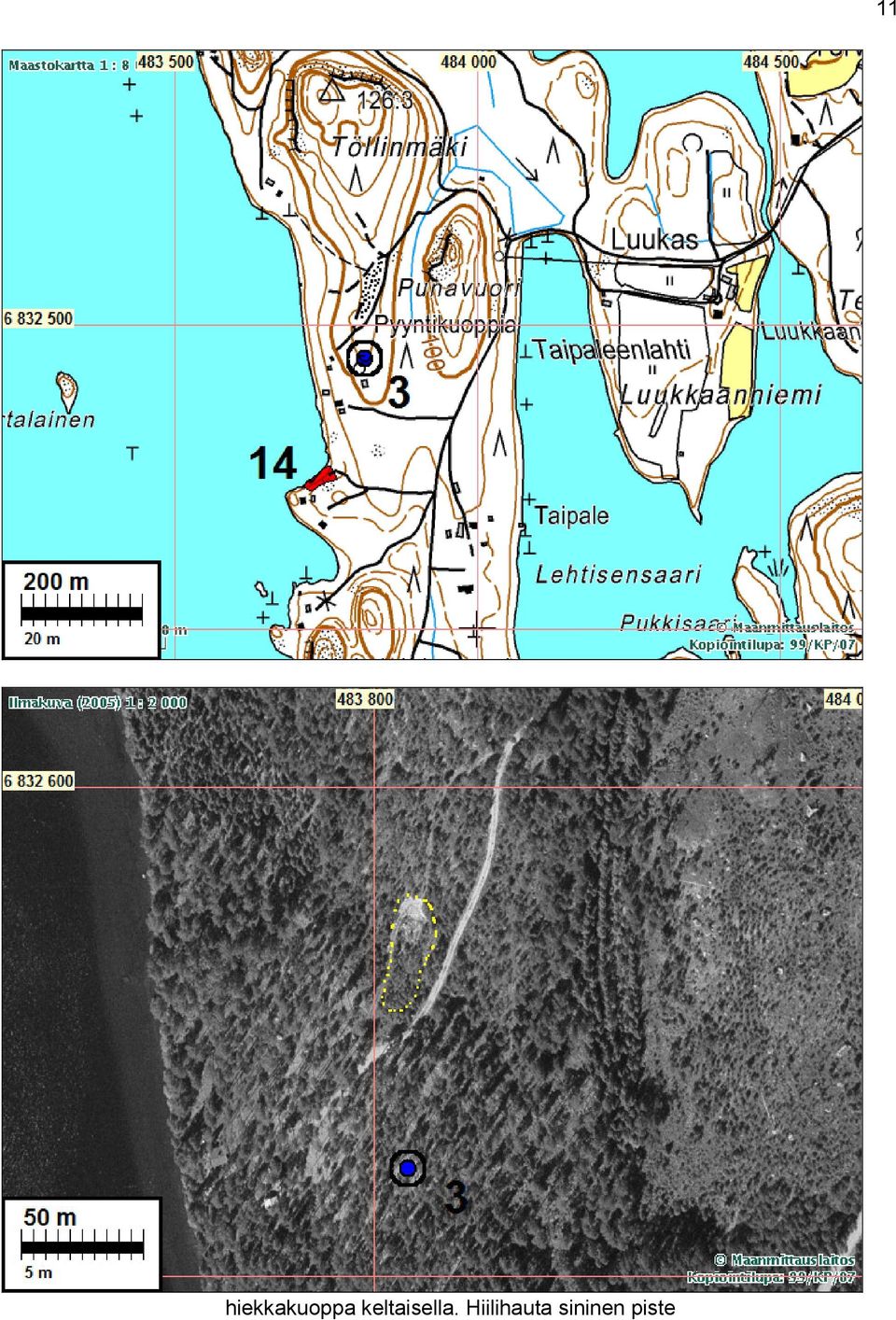 Hiilihauta