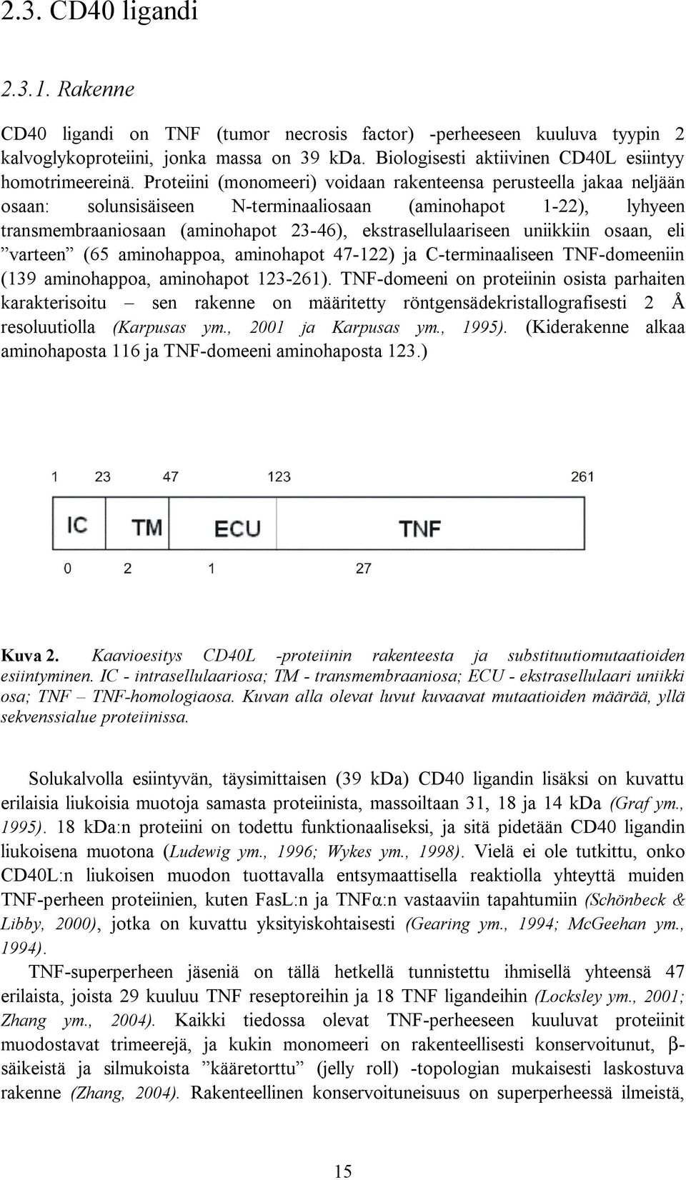 Proteiini (monomeeri) voidaan rakenteensa perusteella jakaa neljään osaan: solunsisäiseen N terminaaliosaan (aminohapot 1 22), lyhyeen transmembraaniosaan (aminohapot 23 46), ekstrasellulaariseen