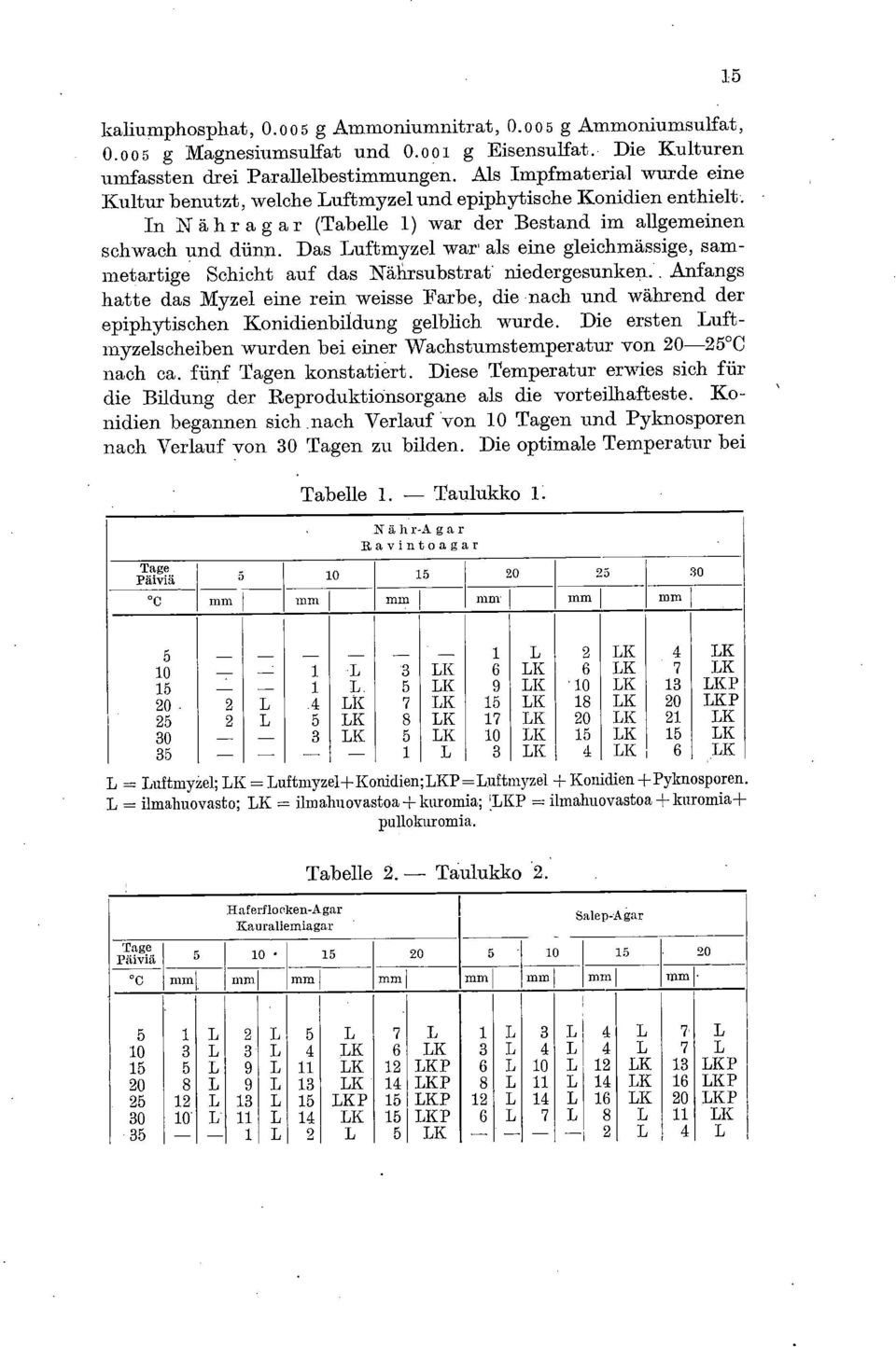 Das Luftmyzel war als eine gleichmässige, sammetartige Schicht auf das Nährsubstrat niedergesunken.