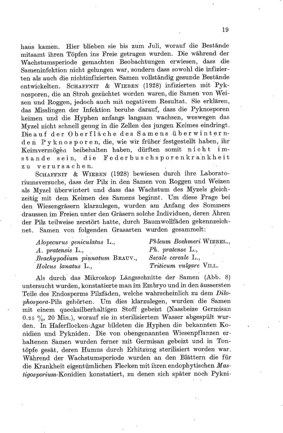 gesunde Bestände entwickelien. SCHAFFNIT &.WIEBEN (1928) infizierten mit spyknosporen, die an Stroh geziichtet worden waren, die Samen von Weizen und Roggen., jedoch auch mit negativem Resultat.