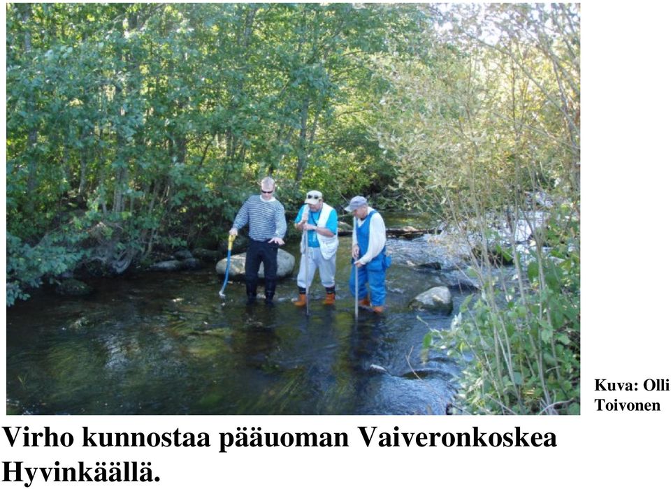 Vaiveronkoskea