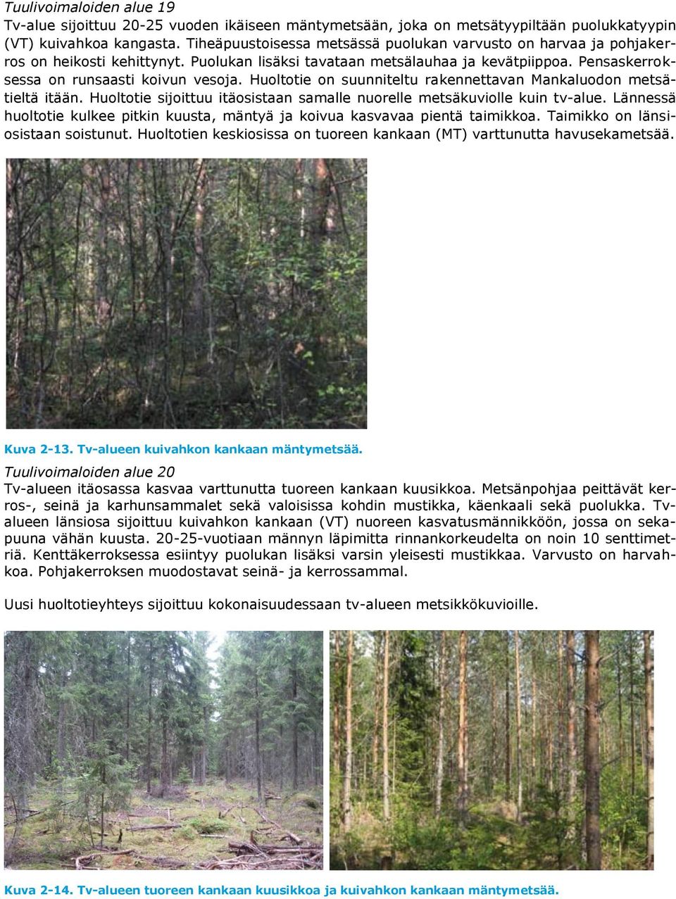 Huoltotie on suunniteltu rakennettavan Mankaluodon metsätieltä itään. Huoltotie sijoittuu itäosistaan samalle nuorelle metsäkuviolle kuin tv-alue.