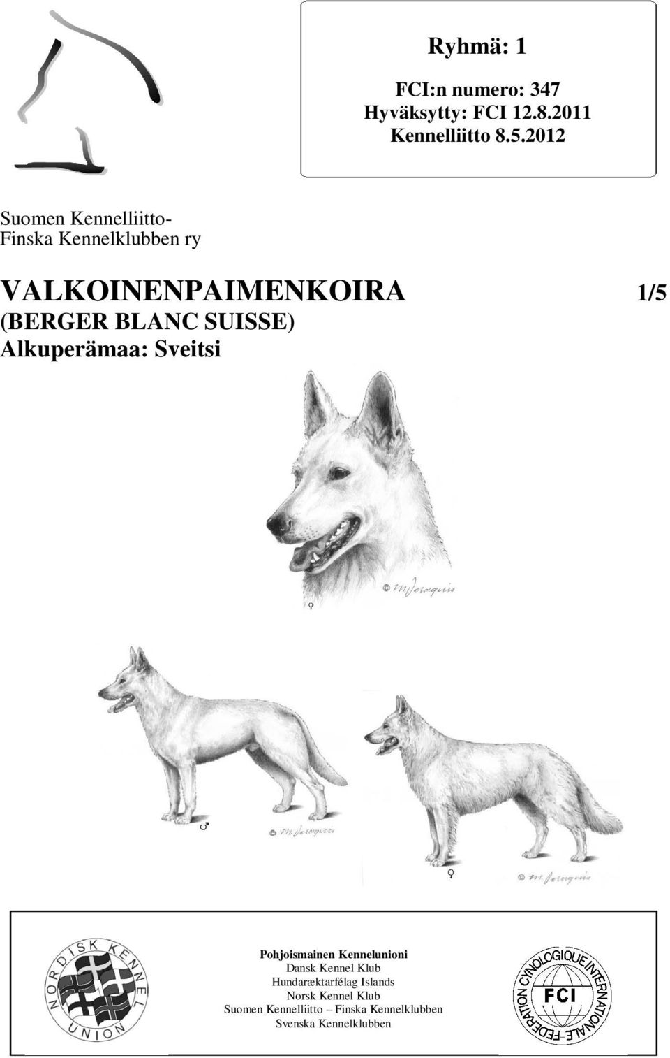 BLANC SUISSE) Alkuperämaa: Sveitsi Pohjoismainen Kennelunioni Dansk Kennel Klub