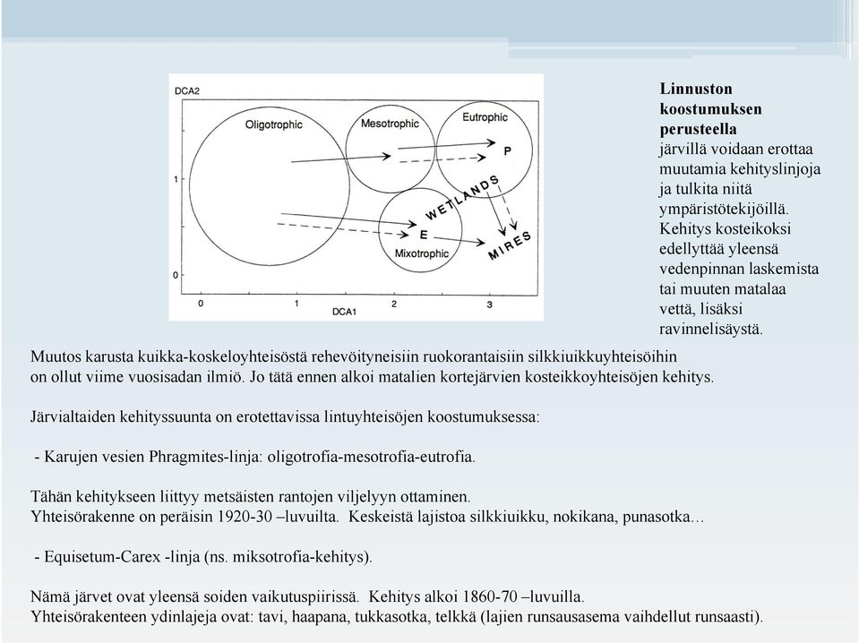 Järvialtaiden kehityssuunta on erotettavissa lintuyhteisöjen koostumuksessa: - Karujen vesien Phragmites-linja: oligotrofia-mesotrofia-eutrofia.