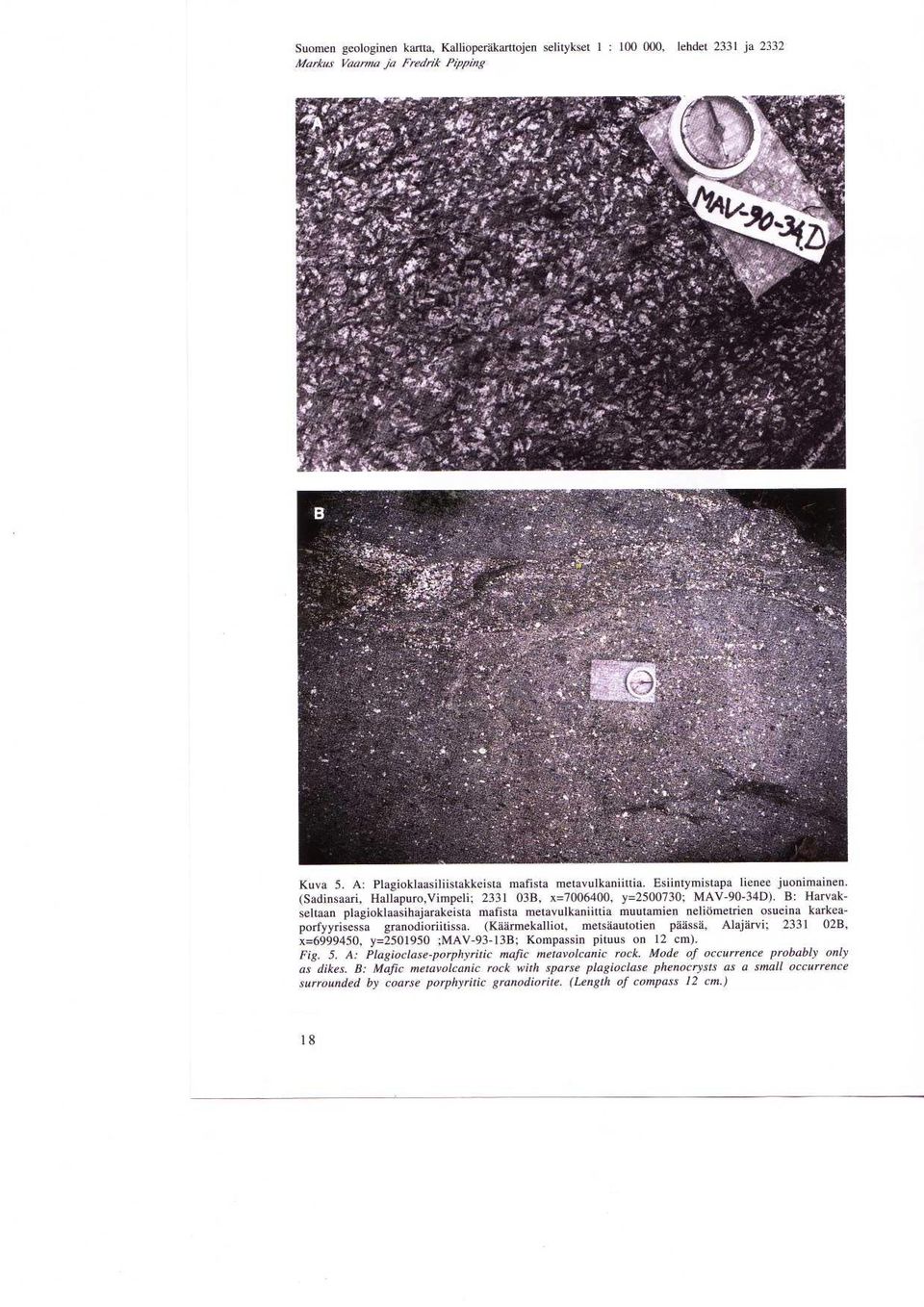 karkeaporfyyrisessa granodioriitissa (Kaarmekalliot, metsaautotien paassa, Alajarvi ; 2331 02B, x=6999450, y=2501950 ;MAV-93-13B ; Kompassin pituus on 12 cm) Fig 5 A : Plagioclase-porphyritic mafic