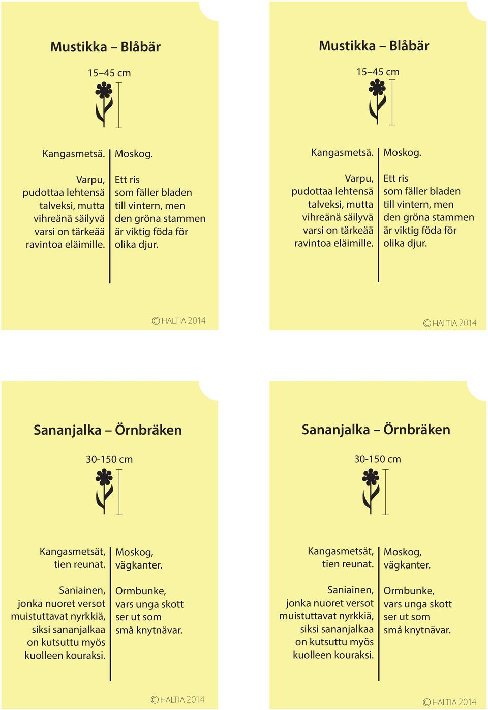 Ett ris som fäller bladen till vintern, men den gröna stammen är viktig föda för olika djur. Sananjalka Örnbräken 30-150 cm Sananjalka Örnbräken 30-150 cm Kangasmetsät, tien reunat. Moskog, vägkanter.