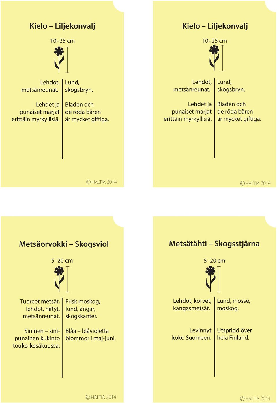 Metsäorvokki Skogsviol 5 20 cm Metsätähti Skogsstjärna 5 20 cm Tuoreet metsät, lehdot, niityt, metsänreunat. Frisk moskog, lund, ängar, skogskanter.